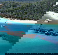 All Inclusive Tangalooma Wrecks Cruise Tour From Gold Coast - Great Ocean Road Restaurant