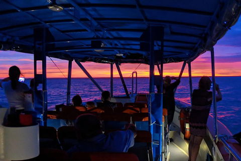 Darwin Sunset Cruise Including Fish 'n' Chips - Great Ocean Road Restaurant 1