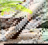 Sydney Taronga Zoo General Entry Ticket and Wild Australia Experience - Great Ocean Road Restaurant