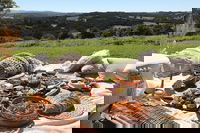 A picnic in Byron Bay