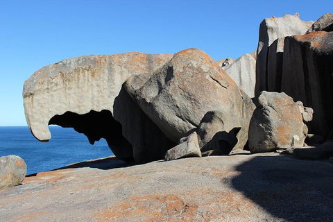 Kangaroo Island Personal Group Tours - Great Ocean Road Restaurant 2