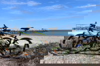 Adelaide City to Sea Bike Tour