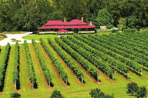 O'Reilly's & Lamington National Park From Brisbane - Great Ocean Road Restaurant 2