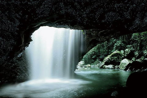 Natural Bridge Glow Worm Night Tour From Gold Coast - Great Ocean Road Restaurant 0