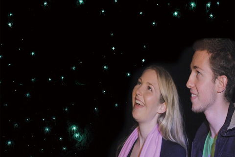 Natural Bridge Glow Worm Night Tour From Gold Coast - Great Ocean Road Restaurant 3