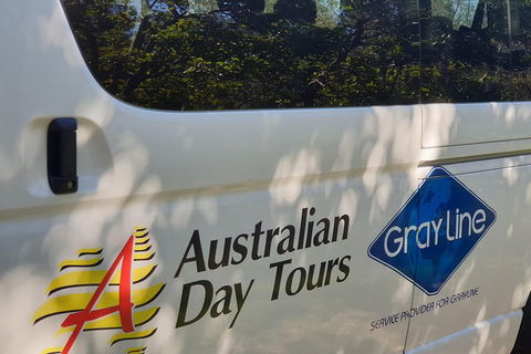 Natural Bridge Glow Worm Night Tour From Gold Coast - Great Ocean Road Restaurant 5