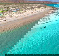 Ningaloo in a Day - Full Day Hike and Snorkel Tour with Lunch - Great Ocean Road Restaurant