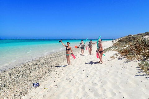 Ningaloo In A Day - Full Day Hike And Snorkel Tour With Lunch - Great Ocean Road Restaurant 1