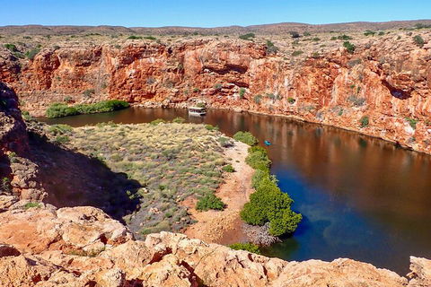 Ningaloo In A Day - Full Day Hike And Snorkel Tour With Lunch - Great Ocean Road Restaurant 2