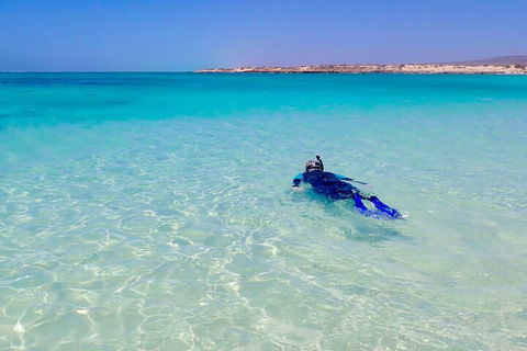 Ningaloo In A Day - Full Day Hike And Snorkel Tour With Lunch - Great Ocean Road Restaurant 4