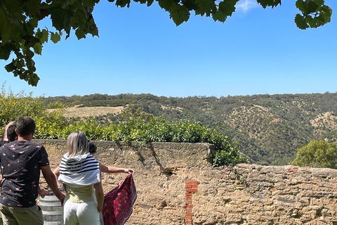 Private Mclaren Vale Wine Tour - Great Ocean Road Restaurant 2