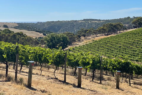 Private Mclaren Vale Wine Tour - Great Ocean Road Restaurant 3