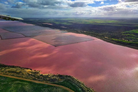 Kalbarri, Pink Lake And Abrolhos Islands Nature Tour - Great Ocean Road Restaurant 1