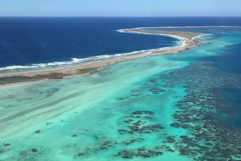 Kalbarri, Pink Lake And Abrolhos Islands Nature Tour - Great Ocean Road Restaurant 3