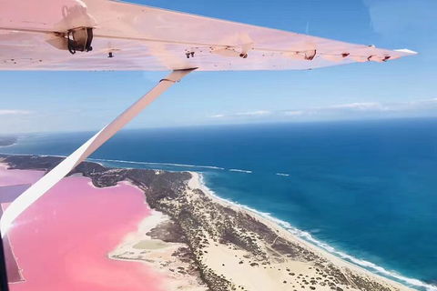 Kalbarri, Pink Lake And Abrolhos Islands Nature Tour - Great Ocean Road Restaurant 4