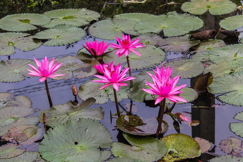 Kakadu, Nourlangie And Yellow Waters Tour From Darwin - Great Ocean Road Restaurant 1