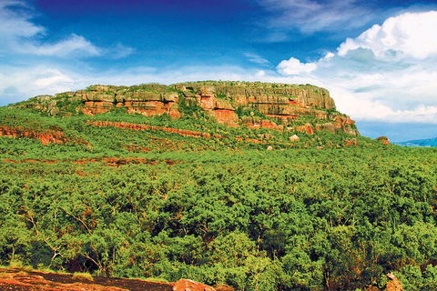 Kakadu, Nourlangie And Yellow Waters Tour From Darwin - Great Ocean Road Restaurant 3