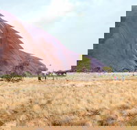 Uluru Sunrise and Guided Base Walk - Great Ocean Road Restaurant
