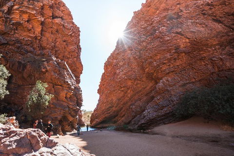 West MacDonnell Ranges- Half Day Trip From Alice Springs - Great Ocean Road Restaurant 0