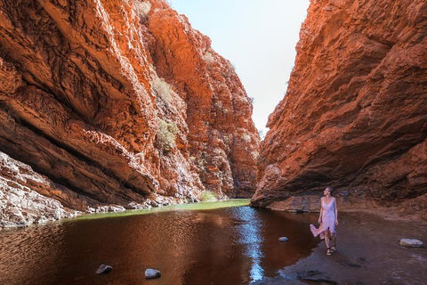 West MacDonnell Ranges- Half Day Trip From Alice Springs - Great Ocean Road Restaurant 1