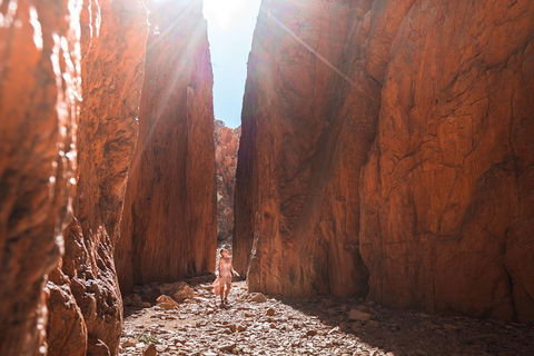 West MacDonnell Ranges- Half Day Trip From Alice Springs - Great Ocean Road Restaurant 4