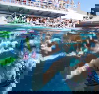 Great Barrier Reef Day Cruise from Cairns Including Snorkeling and Marine Biologist Presentation - Great Ocean Road Restaurant