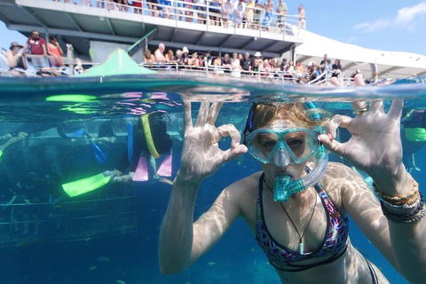 Great Barrier Reef Day Cruise From Cairns Including Snorkeling And Marine Biologist Presentation - Great Ocean Road Restaurant 0