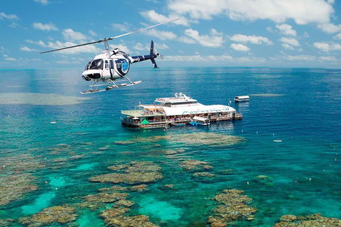 Great Barrier Reef Day Cruise From Cairns Including Snorkeling And Marine Biologist Presentation - Great Ocean Road Restaurant 5