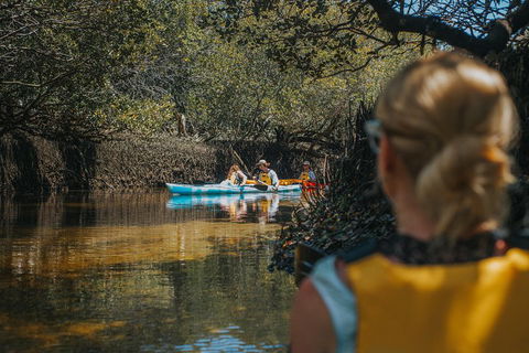Kayak Tour In Adelaide Dolphin Sanctuary - Great Ocean Road Restaurant 0