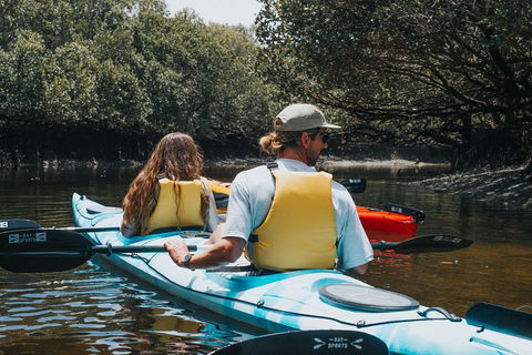 Kayak Tour In Adelaide Dolphin Sanctuary - Great Ocean Road Restaurant 2