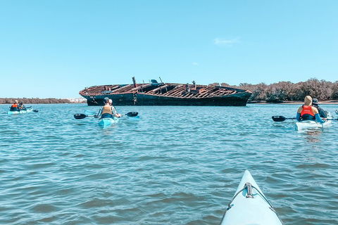 Kayak Tour In Adelaide Dolphin Sanctuary - Great Ocean Road Restaurant 3