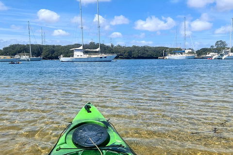 Kayak Tour In Adelaide Dolphin Sanctuary - Great Ocean Road Restaurant 4