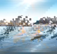 Brisbane Kayak Tour - Great Ocean Road Restaurant