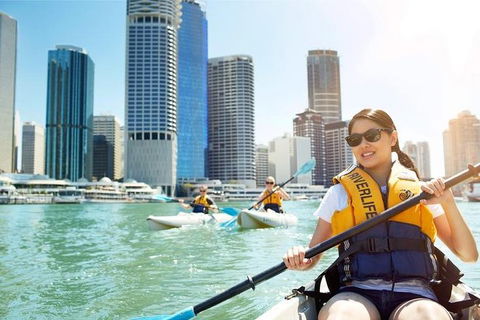 Brisbane Kayak Tour - Great Ocean Road Restaurant 5