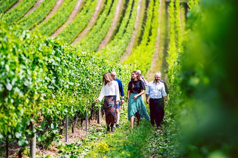 Tasmanian Wine Tour - Great Ocean Road Restaurant 0
