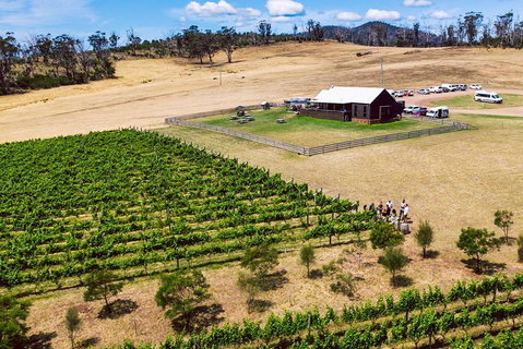 Tasmanian Wine Tour - Great Ocean Road Restaurant 3