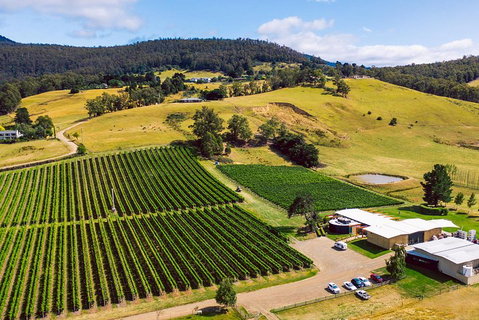 Tasmanian Wine Tour - Great Ocean Road Restaurant 4