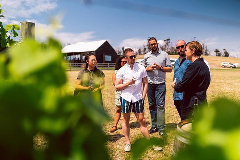 Tasmanian Wine Tour - Great Ocean Road Restaurant 5