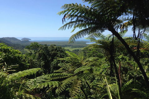 Daintree And Cape Tribulation Full Day Guided Tour - Great Ocean Road Restaurant 2