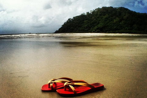 Daintree And Cape Tribulation Full Day Guided Tour - Great Ocean Road Restaurant 4