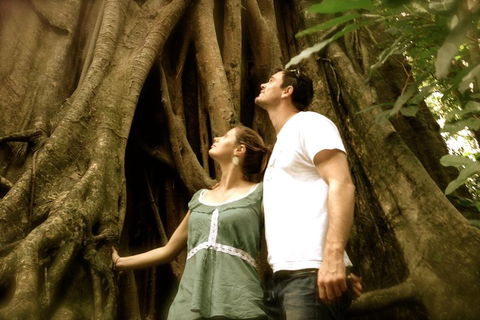 Daintree And Cape Tribulation Full Day Guided Tour - Great Ocean Road Restaurant 5