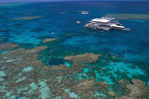 Ultimate 3-Day Great Barrier Reef Cruise Pass - Great Ocean Road Restaurant 3