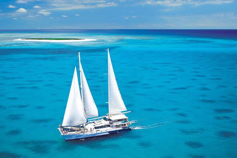 Ultimate 3-Day Great Barrier Reef Cruise Pass - Great Ocean Road Restaurant 5