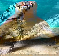 Sail Snorkel SUP  Kayak Charter Whitsundays - Great Ocean Road Restaurant
