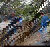 Fully guided E-Mountain Bike Tour on the beautiful Mornington Peninsula. - Great Ocean Road Restaurant