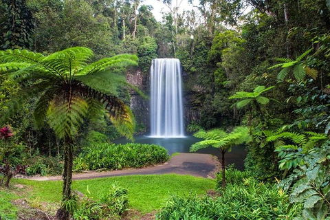 Cairns & Port Douglas All-Inclusive 7 Days Touring Package - Great Ocean Road Restaurant 2