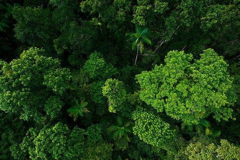 Cairns & Port Douglas All-Inclusive 7 Days Touring Package - Great Ocean Road Restaurant 4