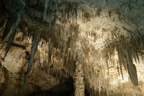 7 Days Perth All-Inclusive Touring Grand Package - Great Ocean Road Restaurant 5