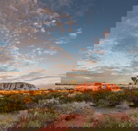 Uluru Kata Tjuta and Kings Canyon Camping Safari from Alice Springs - Great Ocean Road Restaurant