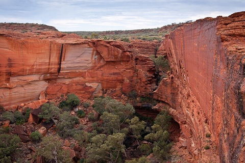 Uluru, Kata Tjuta And Kings Canyon Camping Safari From Ayers Rock - Great Ocean Road Restaurant 1